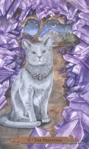 Mystical Cats Tarot